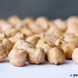 Premium Chickpeas from Canada