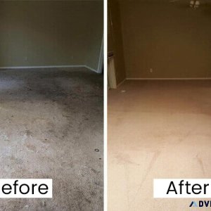 Exceptional Carpet Cleaning Services in Vancouver WA