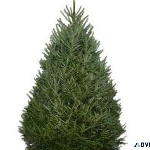 Brand new Christmas tree 6 ft 6 in include stand