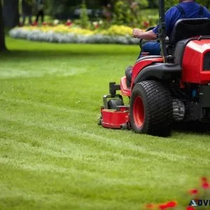 Lawn Renovation Service and Yard Clean Up - TM Lawn Cares