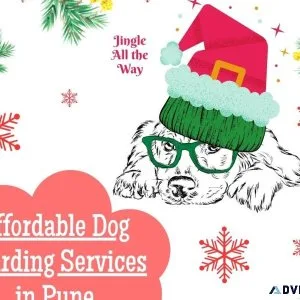 Dog Hostel and Pet Boarding Service in Pune