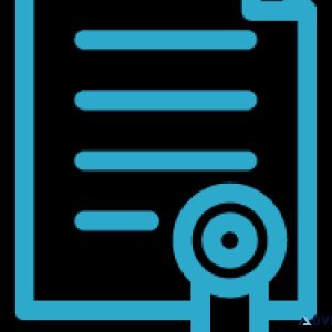 Document Translation Edmonton