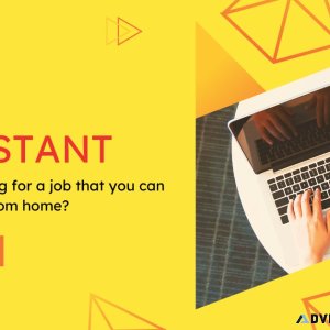 220day - Shopify Assistant Job
