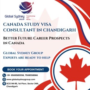 Canada study visa consultant in chandigarh