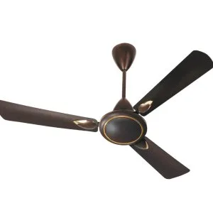 Ceiling fans