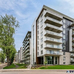 Complexe La Suite - Condo 1 chambre ouverte JUILLET 2024