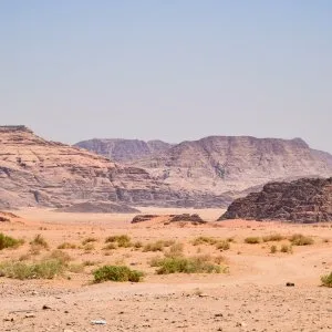 One day tour in al wahiba desert