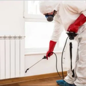 Hire pest control services in jaipur