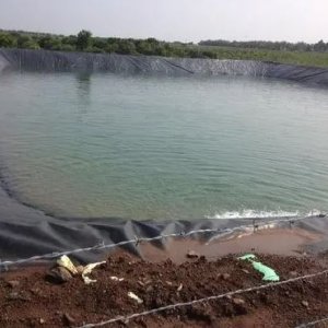 Buy high quality liner for agriculture pond