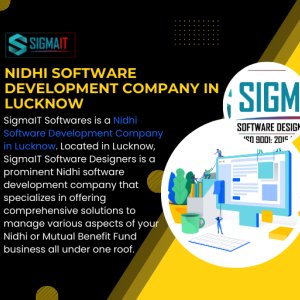 Nidhi software development company in lucknow