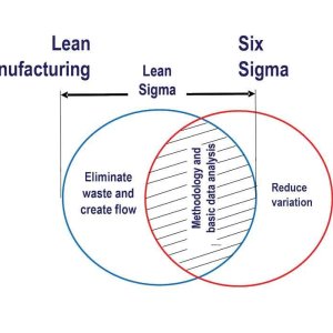 Lean six sigma consultancy in india