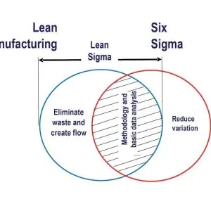 Lean six sigma consultancy in india