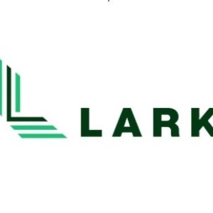 Apply for loan against securities in india | lark finserv