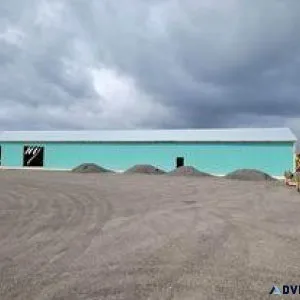 PARTY IN YOUR BARN IN THE U.S.A