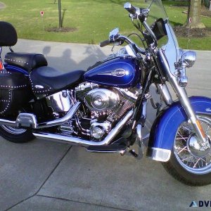 2006 Harley-Davidson FLSTCI - Heritage Softail Classic