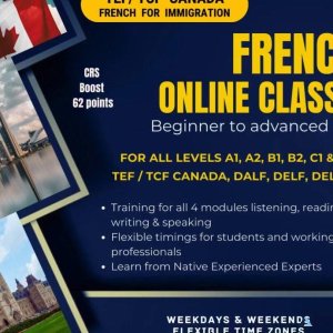 Unlock the Beauty of French with Live Online Classes