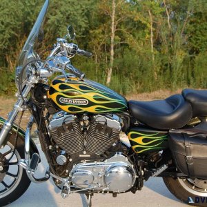 2006 Harley-Davidson Sportster 1200 Low