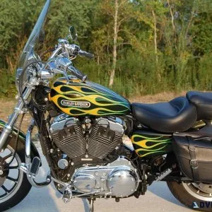 2006 Harley-Davidson Sportster 1200 Low
