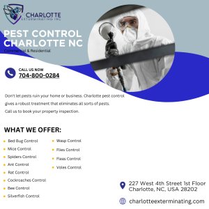 Charlotte, nc pest control services: your solution to pests