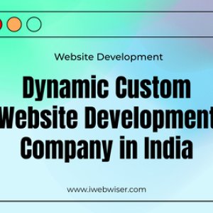 No1 dynamic custom website development company in india