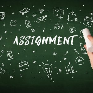 Human resource assignment help