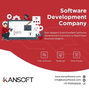 Best software development company in india