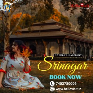 Srinagar tour packages