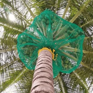 Coconut tree net