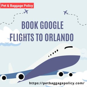 Book google flights to orlando