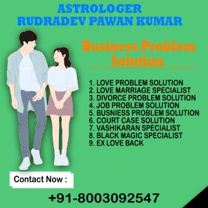 Free business problem solution +91-8003092547
