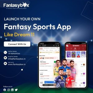 Fantasy sports app development company