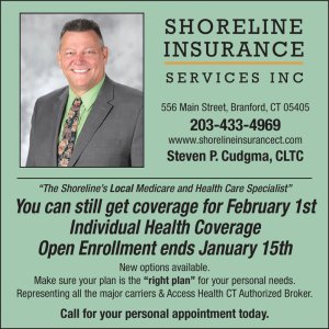 Shoreline insurance ct offer the insurance services in whole usa