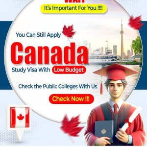Top immigration consultants for canada in mohali