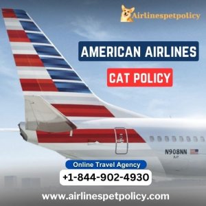 Can i bring my cat with american airlines?