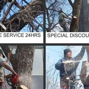 FAMILY TREE SERVICE