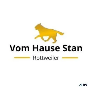 Best Rottweiler Puppies for sale in Washington