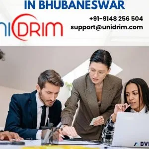 Unlocking Potential SMO Excellence in Bhubaneswar Unveiled