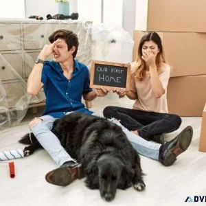 Stop The Stink From Pet Farts