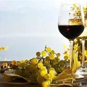 DTC Ambassador Direct to Customer Wine Discovery
