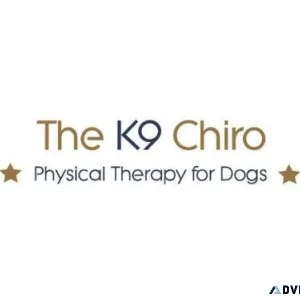 Veterinary Chiropractor for Dogs in Harrogate