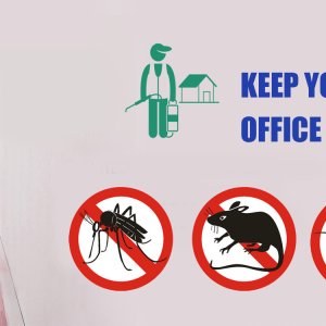 Pest control service in gurgaon