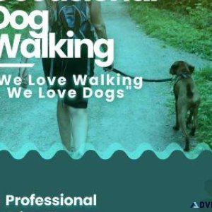 Book Best Dog Walking Service In Bangalore at Affordable Price