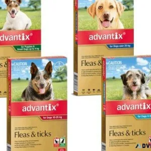ADVANTIX for Dogs All Sizes Flea and Tick Treatment 6 Pipettes
