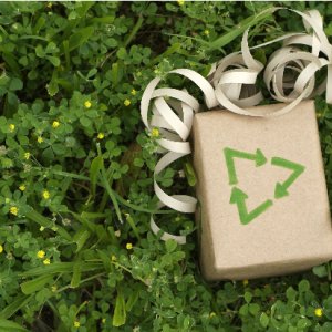 Sustainable gifts for corporate employees