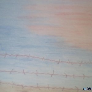 Barbed Wire and the Sky