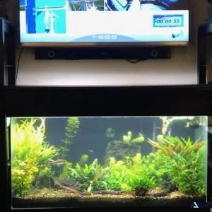 90 Gallon Acrylic Aquarium Complete e Tons of Extras