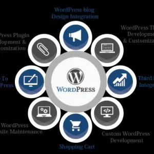 Wordpress development services | wordpress development agency