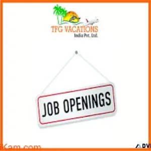 Back Office Executive