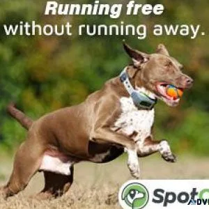 SpotOn - GPS Fence for Dogs
