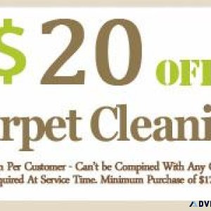 Almo Carpet Cleaning Bellaire